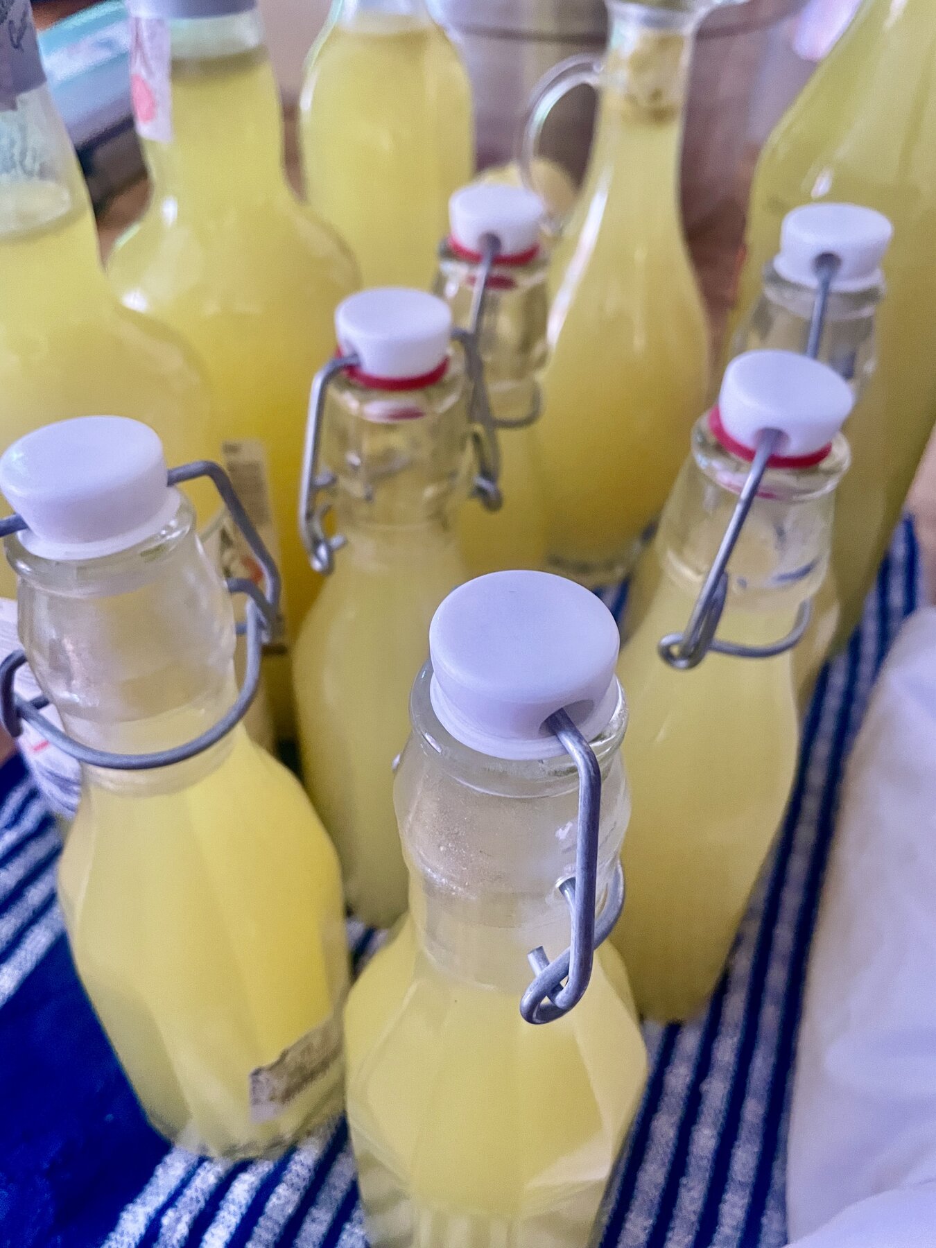 Homemade limoncello bottles